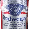 Adults Anheuser-Busch Budweiser Beer Bottle Costume