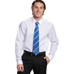 Adults Harry Potter Ravenclaw Tie Costume Accessory