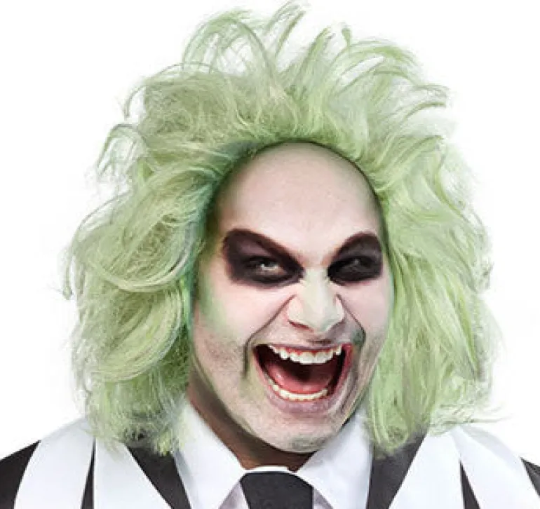 Beetlejuice Costume Wig