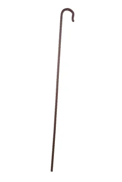 Biblical Shepherd's Cane