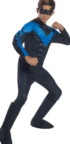 Boys DC Universe Deluxe Nightwing Costume
