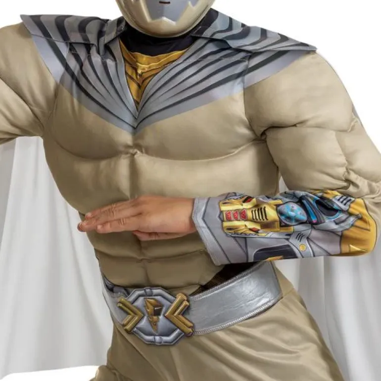 Boys Power Rangers Cosmic Fury Zenith Ranger Classic Muscle Costume