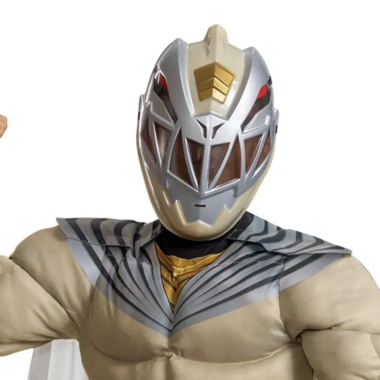 Boys Power Rangers Cosmic Fury Zenith Ranger Classic Muscle Costume