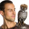 Bubo the Mechanical Owl Prop
