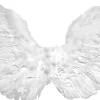 Deluxe Club Small Feather Angel Wings Costume Accessory