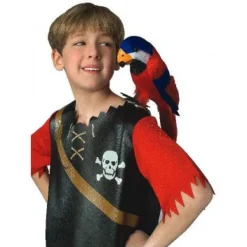 Feathered Parrot