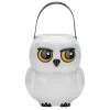 Harry Potter Hedwig Trick or Treat Candy Pail Bucket