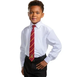 Kids Harry Potter Gryffindor Breakaway Tie Costume Accessory