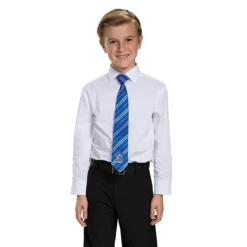 Kids Harry Potter Ravenclaw Breakaway Tie Costume Accessory