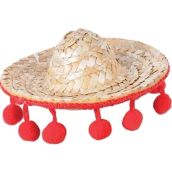 Mini Sombrero Hair Clip Costume Hat