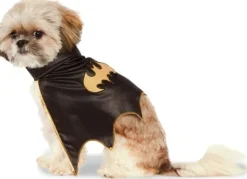 Pets DC Universe Batgirl Costume Cape