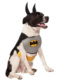 Pets DC Universe Batman Bib & Cape Costume