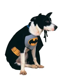 Pets DC Universe Batman Bib & Cape Costume