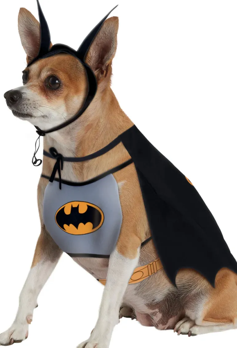 Pets DC Universe Batman Bib & Cape Costume