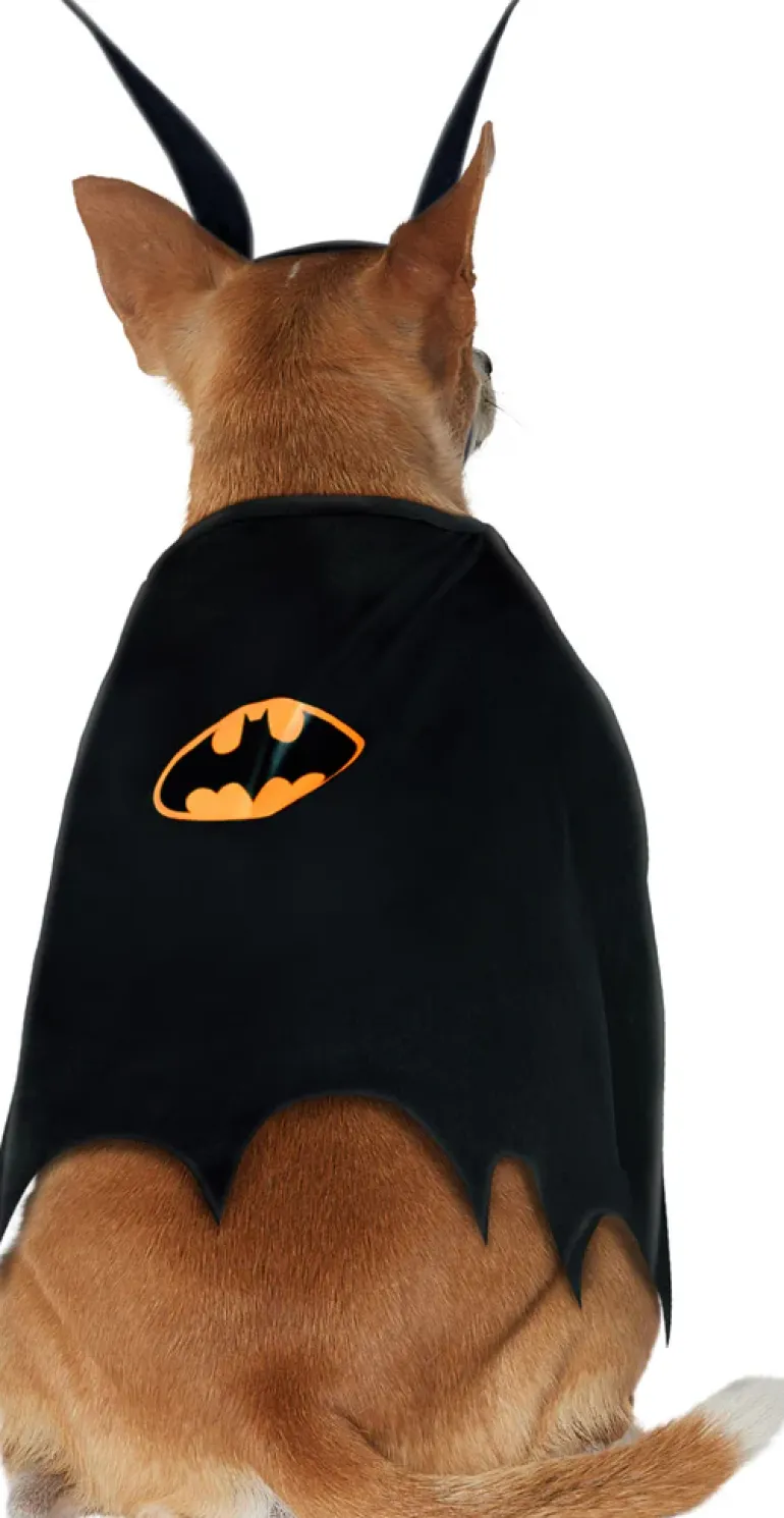 Pets DC Universe Batman Bib & Cape Costume