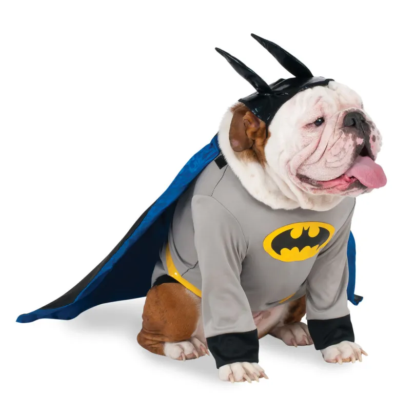 Pets DC Universe Batman Shirt & Cape Costume
