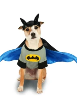 Pets DC Universe Batman Shirt & Cape Costume
