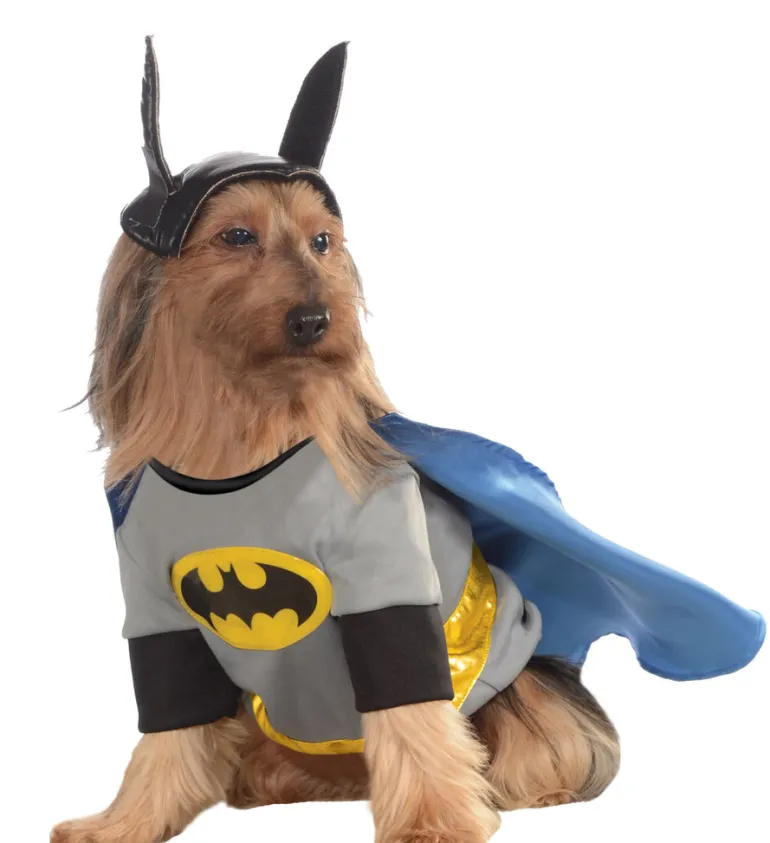 Pets DC Universe Batman Shirt & Cape Costume