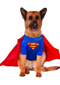 Pets DC Universe Superman Shirt & Cape Costume