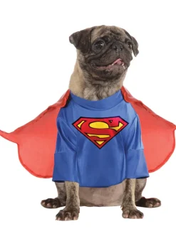Pets DC Universe Superman Shirt & Cape Costume