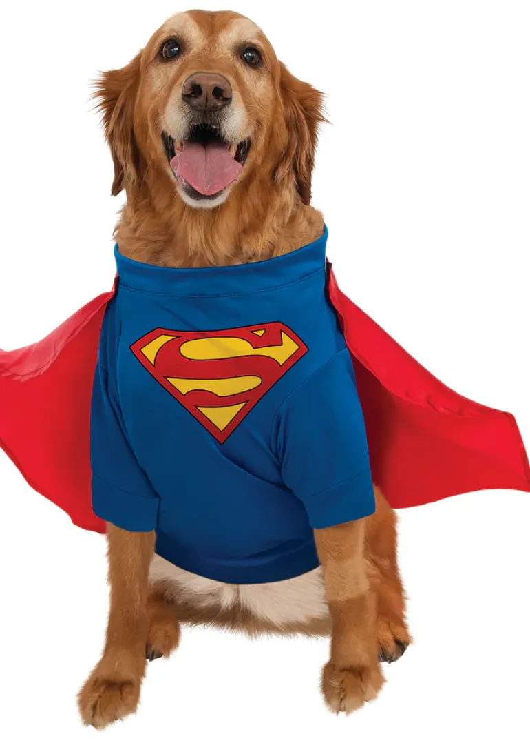 Pets DC Universe Superman Shirt & Cape Costume