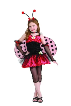 Teens Ladybug Costume