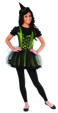 Teens Wizard of Oz Wicked Witch of the West Costume