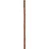 Willy Wonka and the Chocolate Factory Willy Wonka Cane