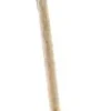 Witch Broom