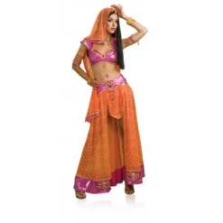 Womens/Teens Bollywood Dancer Costume