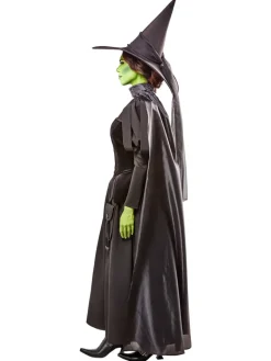 Womens Wizard of Oz Deluxe Wicked Witch Costume