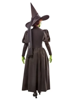 Womens Wizard of Oz Deluxe Wicked Witch Costume
