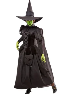 Womens Wizard of Oz Deluxe Wicked Witch Costume
