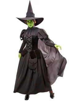 Womens Wizard of Oz Deluxe Wicked Witch Costume